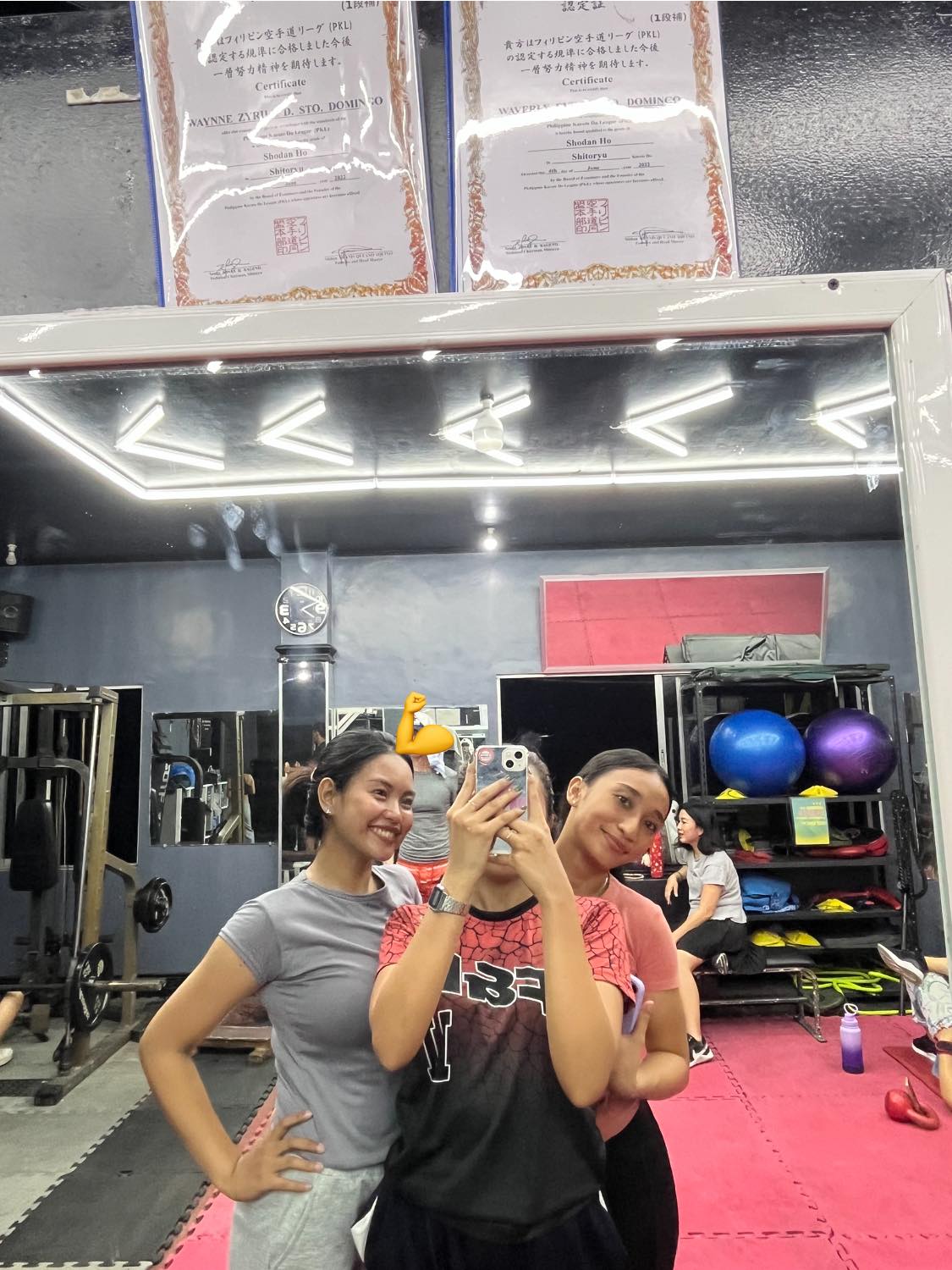Latest WSD GYM update 3